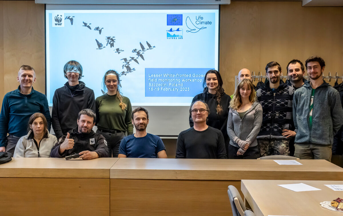 Relacja z warsztatów z rozpoznawania zagrożonego gatunku