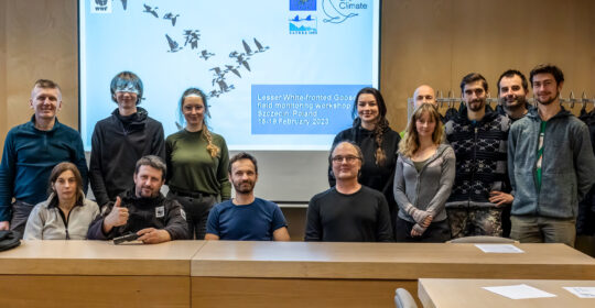 Relacja z warsztatów z rozpoznawania zagrożonego gatunku