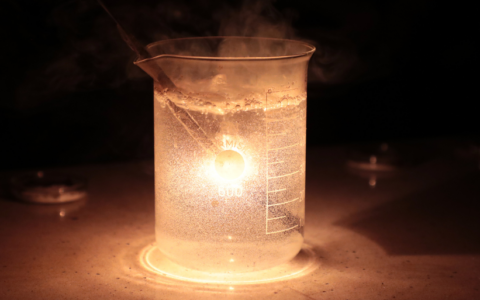 Relacja z Nocy Biologów 2025