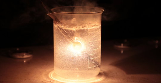 Relacja z Nocy Biologów 2025