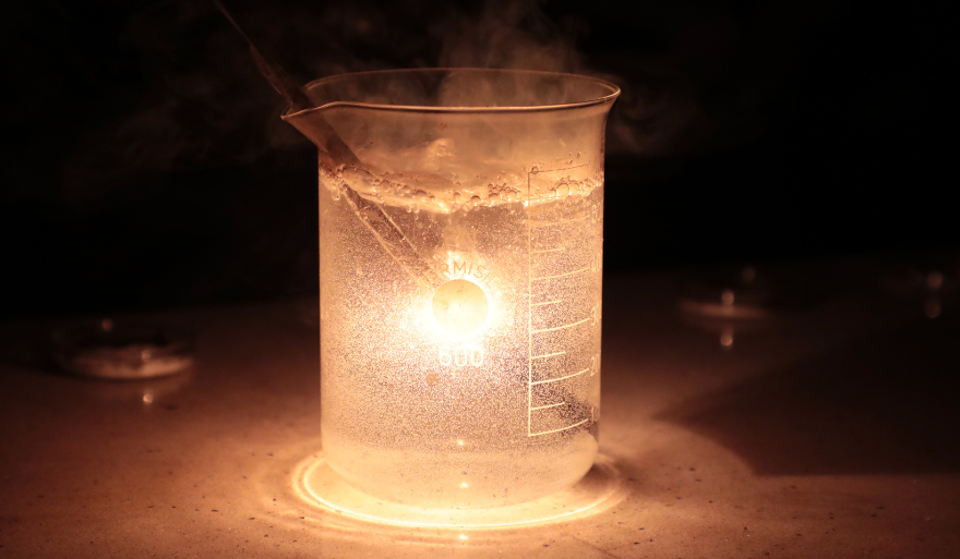 Relacja z Nocy Biologów 2025