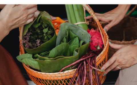 Pomoc w izolacji i kwarantannie