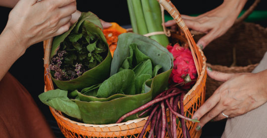 Pomoc w izolacji i kwarantannie