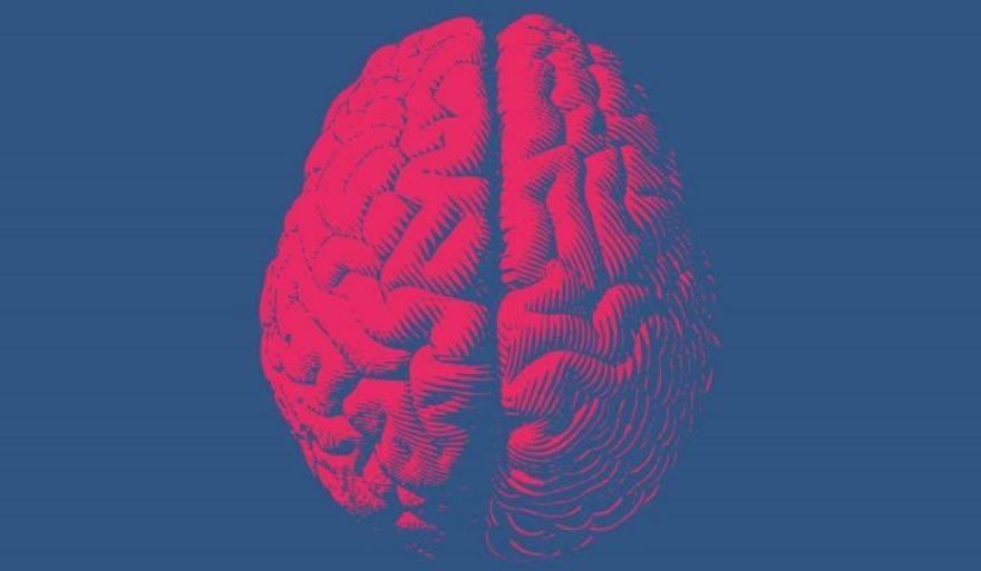 Dr hab. Małgorzata Makiewicz, prof. US wśród finalistów konkursu Popularyzator Nauki 2020