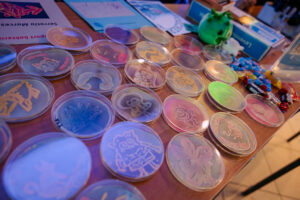 Stół z wieloma przezroczystymi, okrągłymi płytkami Petriego wypełnionymi kolorowymi pożywkami, na których widać jasne wzory i rysunki. Pożywki mają różne kolory, m.in. niebieski, fioletowy, różowy, czerwony, zielony i żółtawy. Na kilku płytkach są wyraźne motywy, np. postać podobna do SpongeBoba, kwiat, motyl oraz różne symbole i napisy (większości nie da się odczytać z tej odległości). Po prawej stronie leżą kolorowe, owinięte cukierki. W górnej prawej części jest mała zielona figurka/pluszak oraz pudełka i kartki z nadrukami, częściowo poza ostrością.