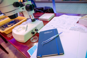 Biały mikroskop stereoskopowy na czerwonym stole. Ma czarne pokrętła regulacji ostrości i powiększenia oraz czarny obiektyw skierowany w dół. Na podstawie leżą szkiełka i małe metalowe narzędzia (pęseta/igła preparacyjna) oraz przezroczysta szalka. Obok znajduje się niebieski notes z gumką; na okładce jest napis „EXPLORUS! NAUKA BEZ GRANIC”. Na notesie leży metalowa pęseta. Po prawej stronie leżą kartki z rysunkami i tekstem; na jednej z nich widać słowo „Lepidoptera”. W tle jest żółta tacka z ciemnym materiałem oraz biały, płaski przedmiot w kształcie pudełka.