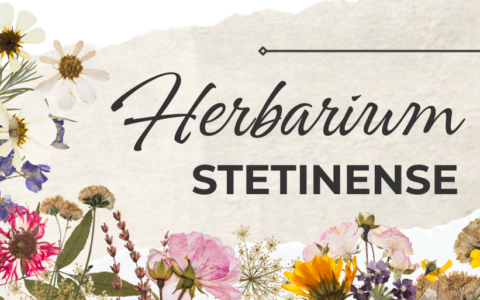 Herbarium US na liście strategicznych infrastruktur badawczych