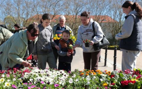 Rośliny za elektroodpady – akcja „Kwiat za Grat” za nami