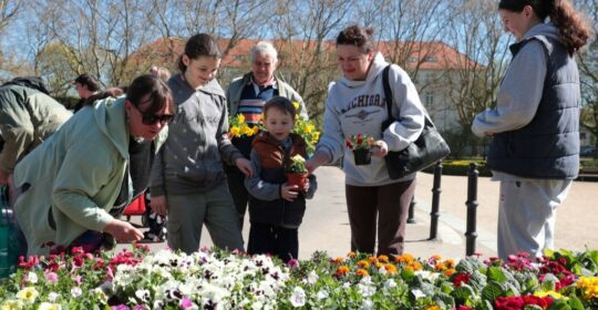 Rośliny za elektroodpady – akcja „Kwiat za Grat” za nami