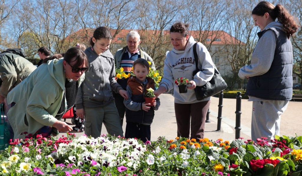 Rośliny za elektroodpady – akcja „Kwiat za Grat” za nami