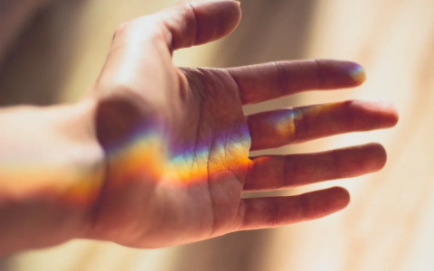 Oświadczenie Kolegium Rektorskiego Uniwersytetu Szczecińskiego w sprawie osób LGBT+