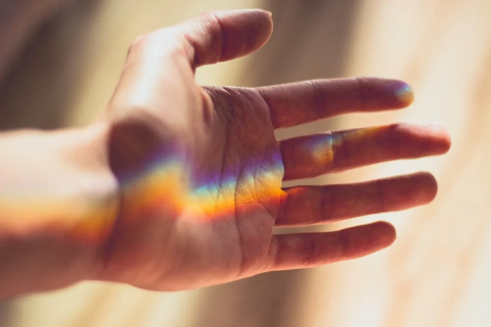 Oświadczenie Kolegium Rektorskiego Uniwersytetu Szczecińskiego w sprawie osób LGBT+