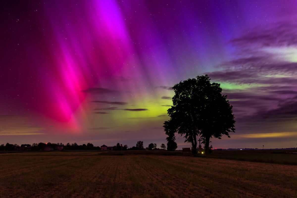 Kolorowa zorza polarna nad wiejskim krajobrazem nocą. Na pierwszym planie rozciąga się niskie, równo skoszone pole o prostokątnym kształcie, z wyraźnymi pasami po przejeździe maszyny rolniczej. Dalej przy linii horyzontu stoją pojedyncze zabudowania i zabudowania gospodarcze, z ciemnymi sylwetkami drzew wokół. Po prawej stronie dominuje wysoka, gęsta kępa drzew tworząca ciemny, jednolity kształt na tle nieba. Z kilku miejsc przy ziemi przebijają się małe, żółte światełka sugerujące oświetlenie domów lub lamp. Niebo zajmuje większość zdjęcia i jest głównym tematem. W górnej części tło stanowi ciemnofioletowe niebo z drobnymi, równomiernie rozrzuconymi gwiazdami. Przez środek przebiegają pionowe, lekko ukośne pasma zorzy polarnej w intensywnych barwach. Po lewej stronie dominują mocne różowe i karmazynowe smugi, które rozszerzają się ku górze, stopniowo przechodząc w fiolet. Bliżej środka i prawej strony pojawiają się pasma zielonkawe i żółtawo‑zielone, łączące się z fioletem i tworzące efekt tęczowych wachlarzy światła. W niższych partiach nieba, nad horyzontem, widoczna jest cienka warstwa chmur, częściowo podświetlonych na żółto, różowo i zielono przez zorzę. Ogólnie scena ma spokojny, ale bardzo intensywnie kolorowy, niemal surrealistyczny charakter.