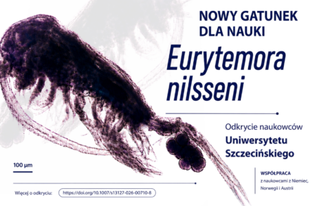 Naukowcy Uniwersytetu Szczecińskiego odkryli nowy gatunek skorupiaka