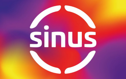 Podsumowanie projektu SINUS
