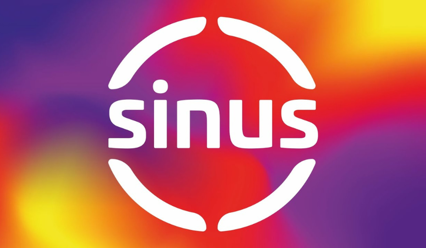 Podsumowanie projektu SINUS