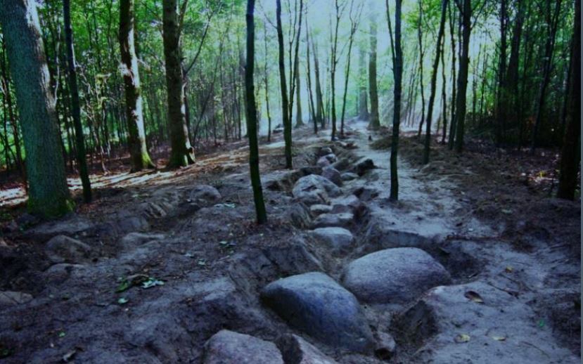 Sesja sprawozdawcza Katedry Archeologii