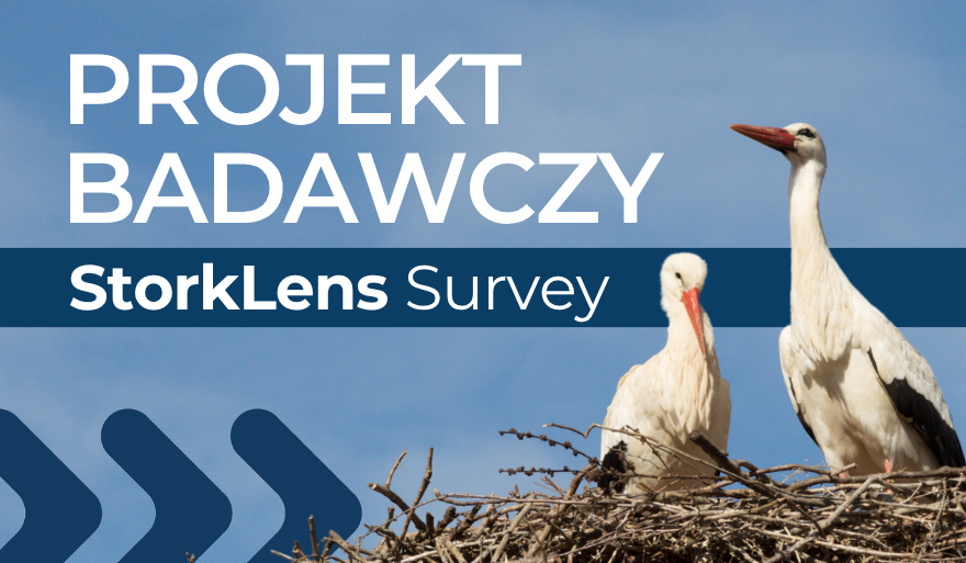 Bociany robią zdjęcia, ludzie je oceniają. Naukowiec US zaprasza do udziału w projekcie