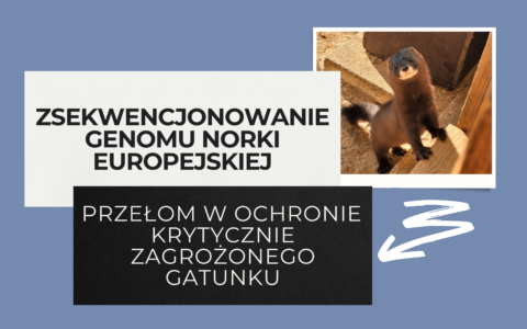 Ważne osiągnięcie naukowców Uniwersytetu Szczecińskiego