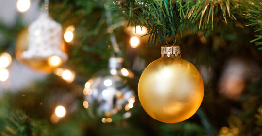 Spotkanie świąteczne Seniorów