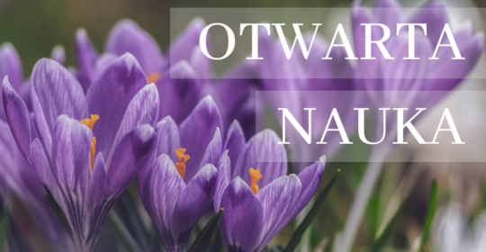 Repozytorium Publikacji i Biblioteka Cyfrowa US