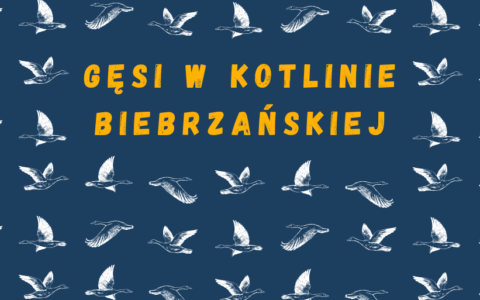 Zaproszenie do wysłuchania wykładu
