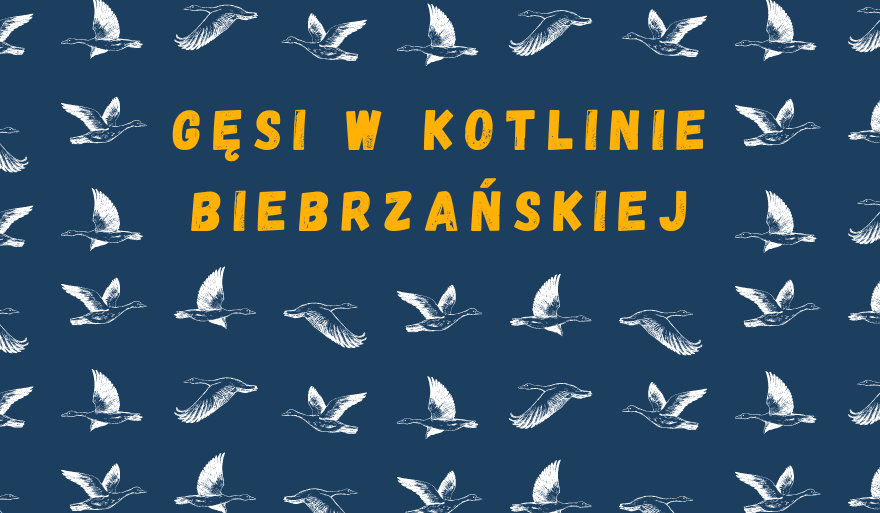 Zaproszenie do wysłuchania wykładu