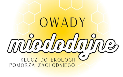 Zaproszenie do udziału w wydarzeniu