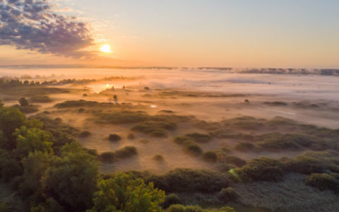 Postępy w pracach nad utworzeniem Parku Narodowego w Dolinie Dolnej Odry