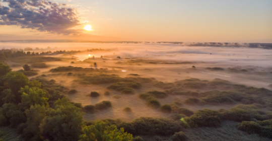 Postępy w pracach nad utworzeniem Parku Narodowego w Dolinie Dolnej Odry