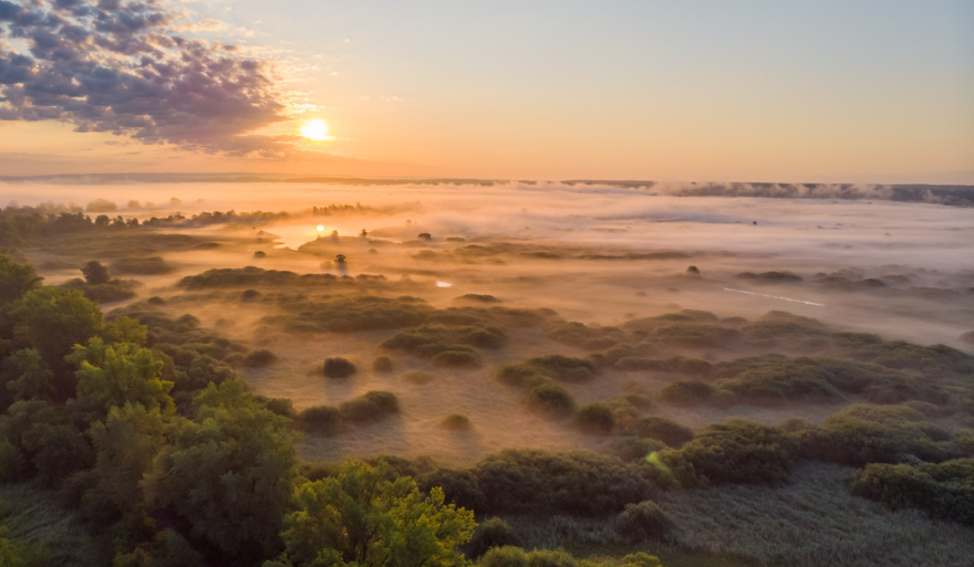 Postępy w pracach nad utworzeniem Parku Narodowego w Dolinie Dolnej Odry