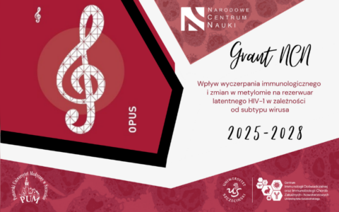 Grant OPUS 27 dla US i PUM na badania nad rezerwuarem HIV-1