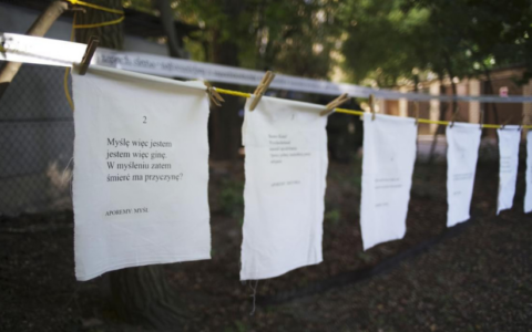 Wystawa plenerowa inspirowana twórczością Joanny Kulmowej