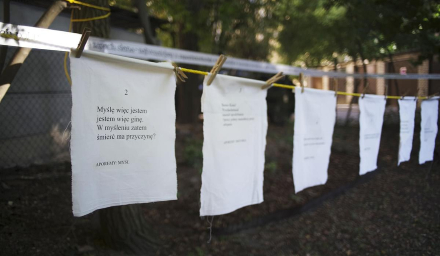 Wystawa plenerowa inspirowana twórczością Joanny Kulmowej