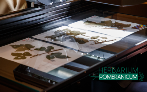 Nowy skaner na cele projektu Herbarium Pomeranicum już na Uniwersytecie