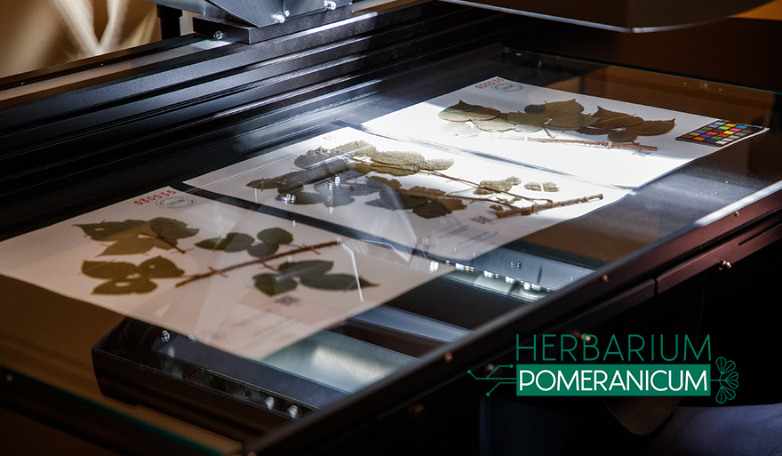 Nowy skaner na cele projektu Herbarium Pomeranicum już na Uniwersytecie