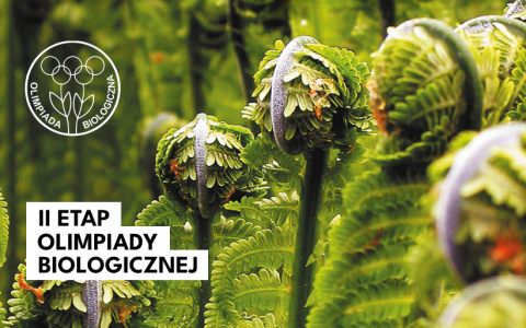 60 uczniów z województwa zachodniopomorskiego i lubuskiego walczy w II etapie Olimpiady Biologicznej