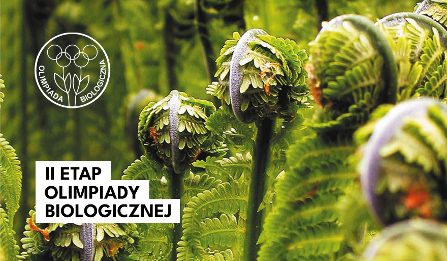 60 uczniów z województwa zachodniopomorskiego i lubuskiego walczy w II etapie Olimpiady Biologicznej