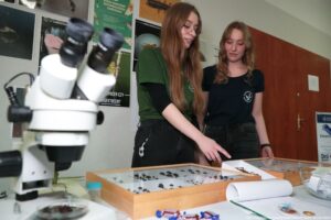 Mikroskop laboratoryjny na pierwszym planie po lewej stronie. W tle dwie młode kobiety stoją przy stole z gablotą entomologiczną i oglądają przypięte owady; jedna w zielonej koszulce i okularach wskazuje palcem na eksponaty, druga w ciemnej koszulce patrzy w to samo miejsce. Na stole leżą też kartki, zwinięty papier, mały pojemnik i kilka małych słodyczy. Na ścianie wiszą plakaty związane z entomologią, a po prawej stronie jest drewniane drzwi. Widoczny podpis: „fot. Magdalena Seredyńska / Uniwersytet Szczeciński”.