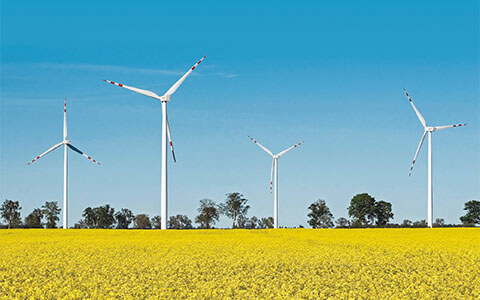 Dla środowiska i dla energii