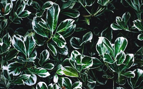 Zaproszenie na seminarium w ramach „Szczecin Alexander-von-Humboldt Seminar”