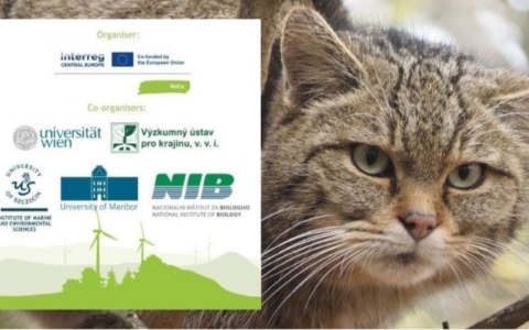 Zaproszenie do udziału w konferencji online