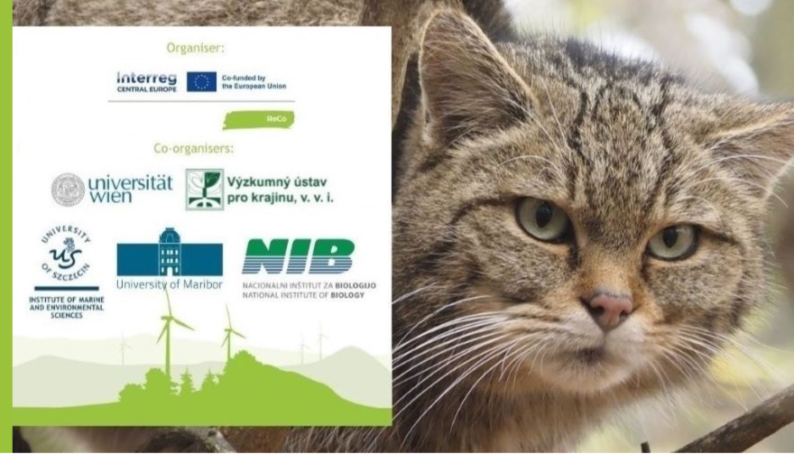 Zaproszenie do udziału w konferencji online