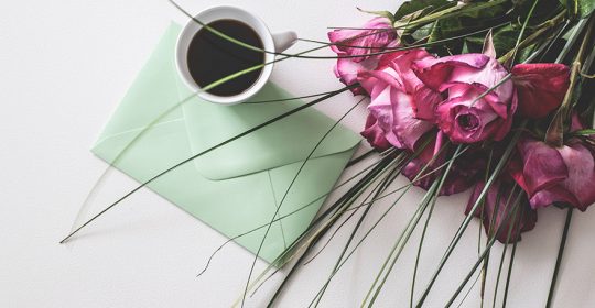 Podziękowania od Anny Frajlich