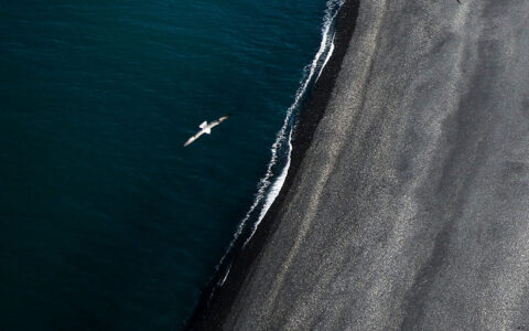 Naukowcy z Instytutu Nauk o Morzu i Środowisku powołani do międzynarodowej grupy badawczej „Marginal Seas Task Group”