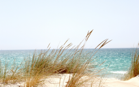 Ważne wyróżnienie dla dra inż. Jakuba Skorupskiego