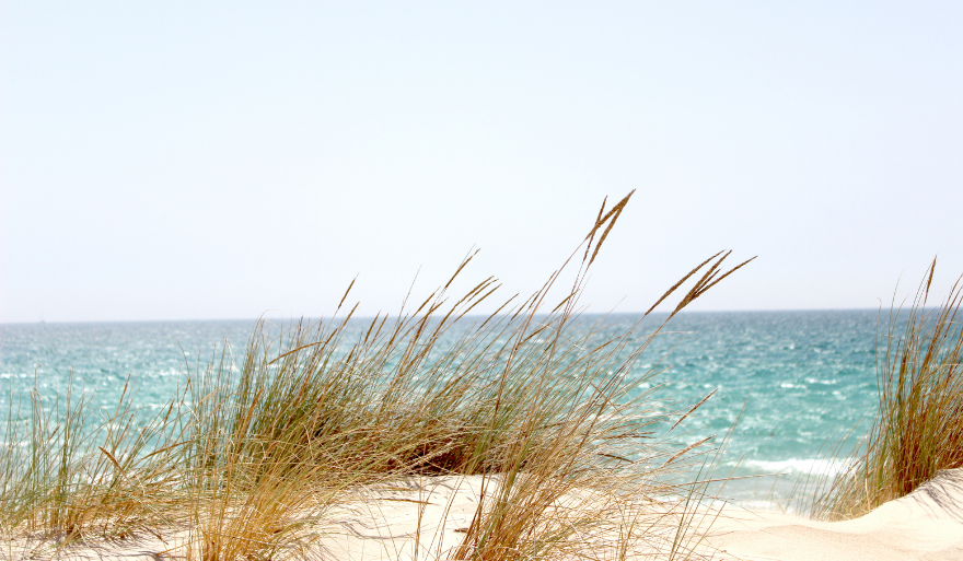 Ważne wyróżnienie dla dra inż. Jakuba Skorupskiego