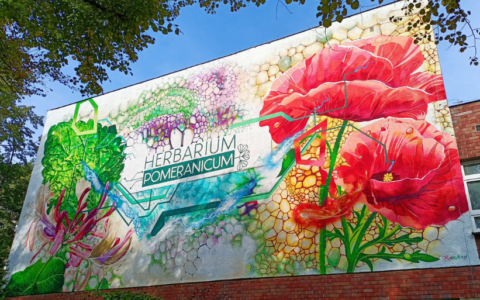 Pierwszy botaniczny mural w Szczecinie