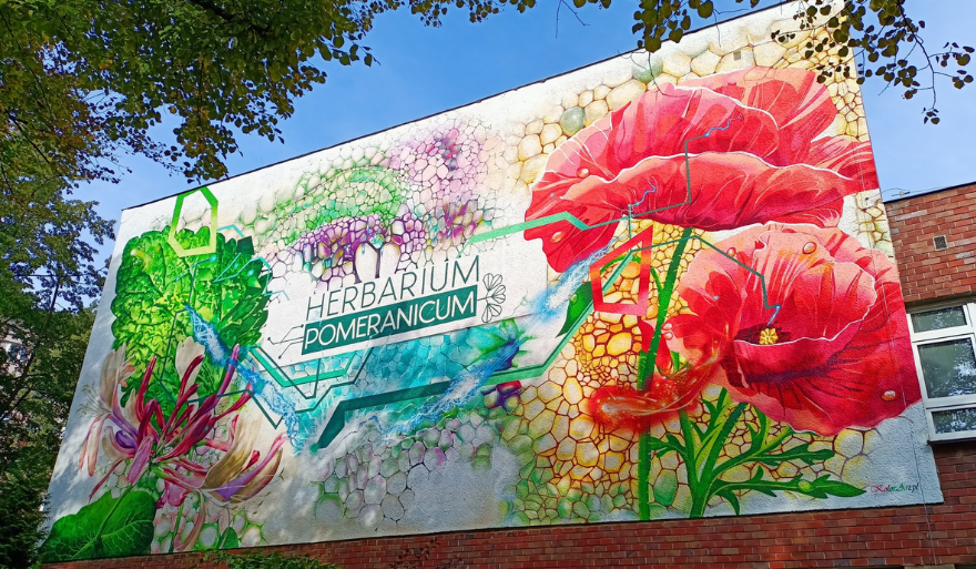 Pierwszy botaniczny mural w Szczecinie