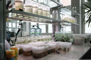 Noc Biologów 2026. Laboratorium. Ujęcie bokiem na szklane regały, na których piętrowo stoją naczynia laboratoryjne.